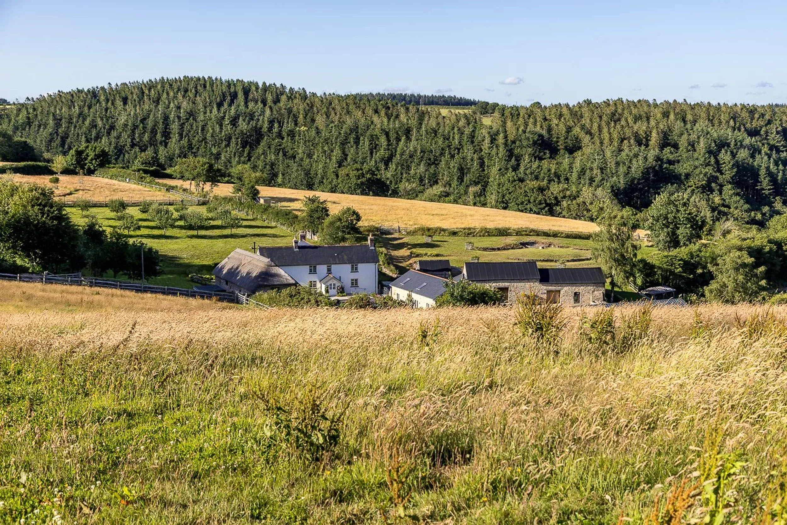 Property for Sale