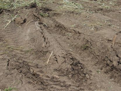 Compacted Soil With Tire Tracks