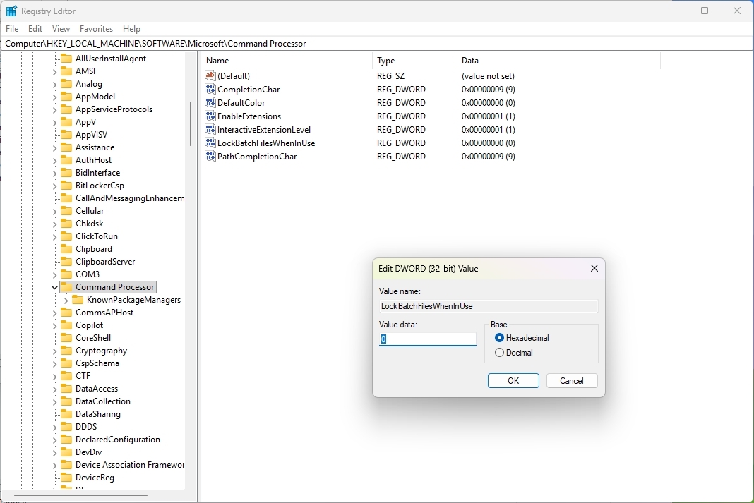 LockBatchFilesWhenInUse Registry key