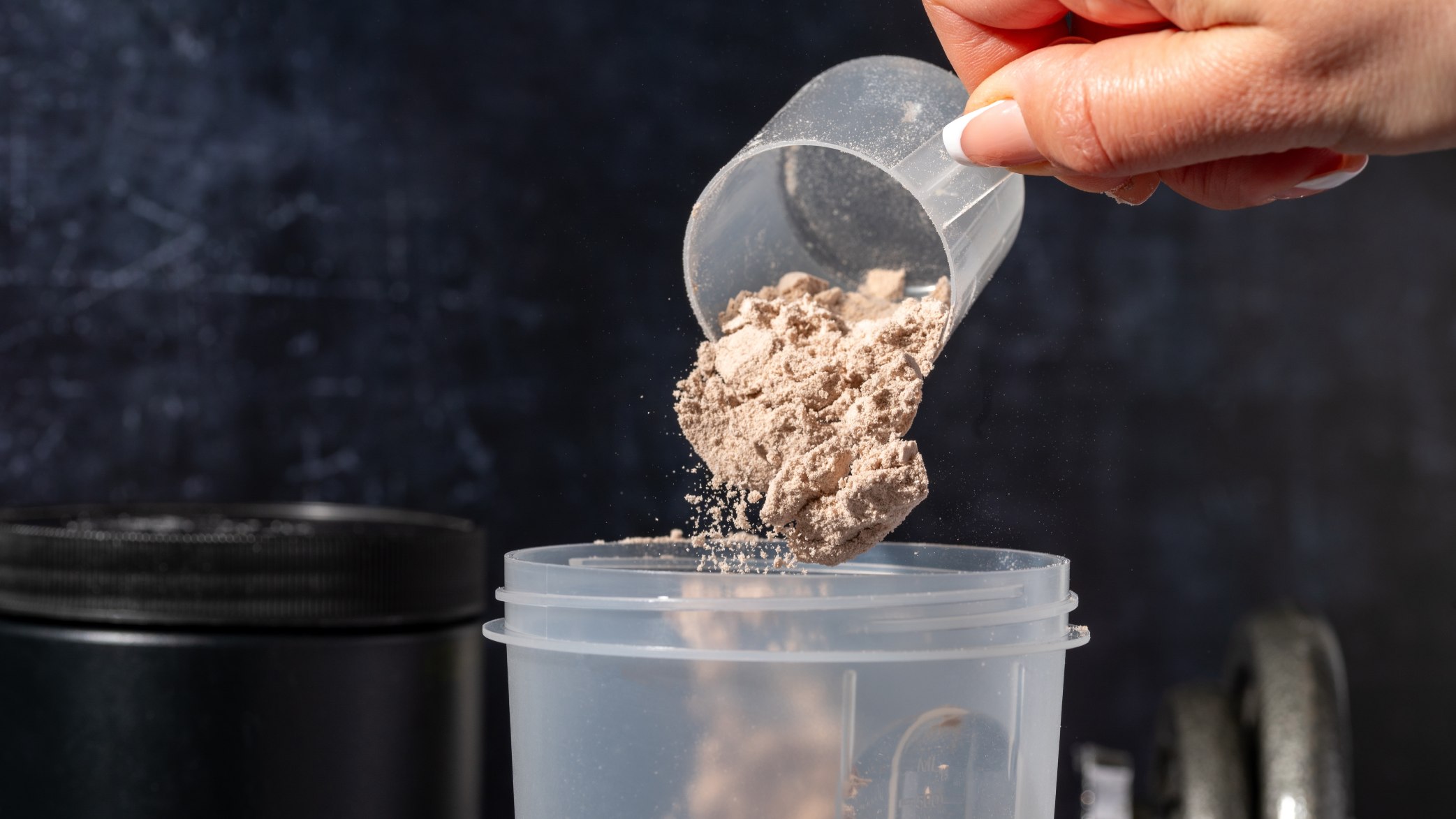 Protein powder