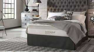 The Saatva Loom & Leaf, Saatva's best mattress for couples and restless sleepers, photographed on a luxury grey bed base with a very tall grey quilted headboard