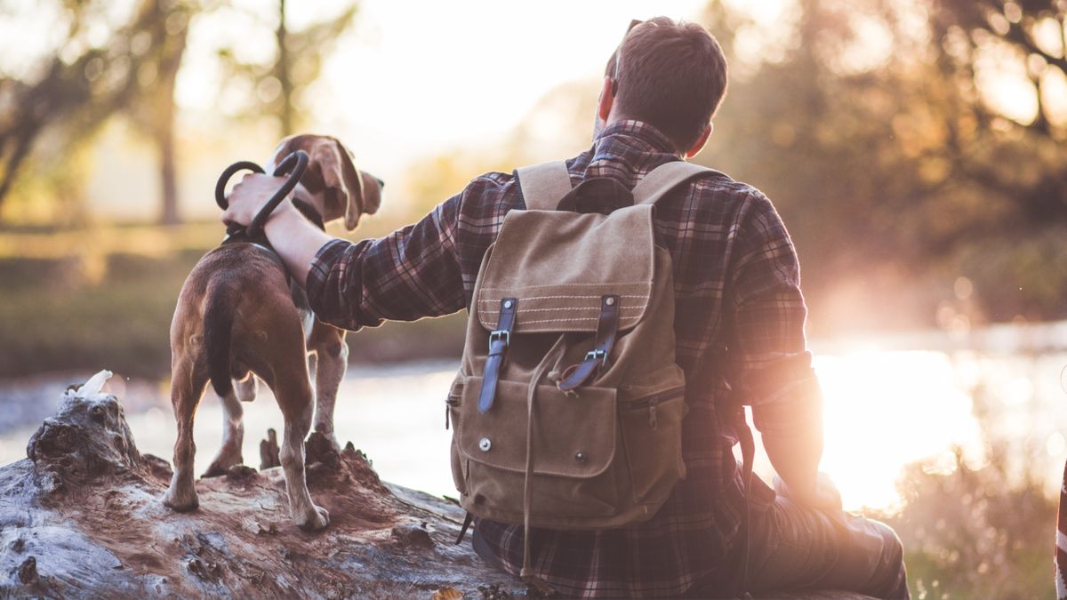 Man and dog sitting down enjoying the view while on a walk together