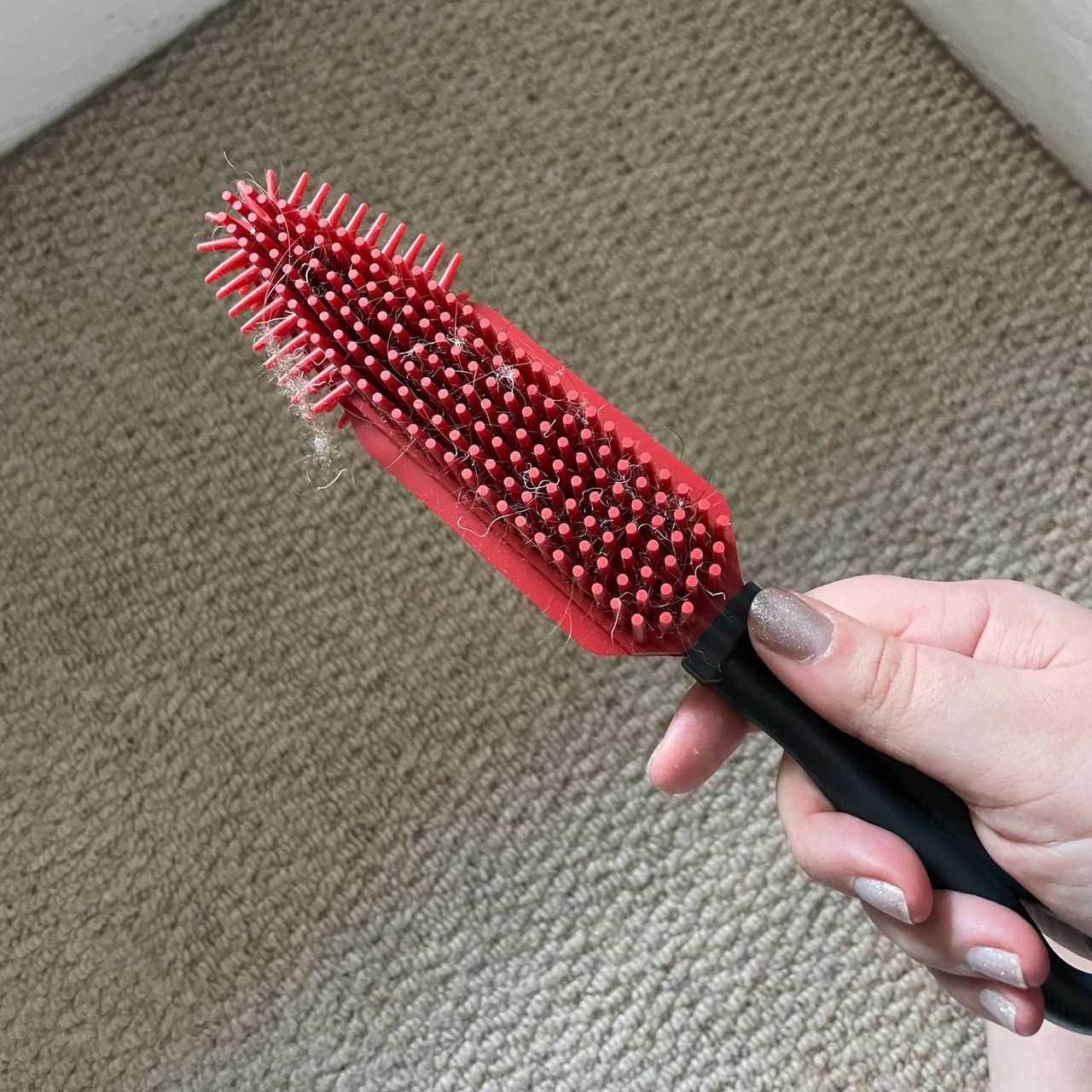 Holding Vileda pet brush in front of cream carpets