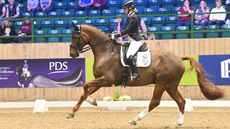 International dressage rider has spoken out about online abuse directed at riders on social media