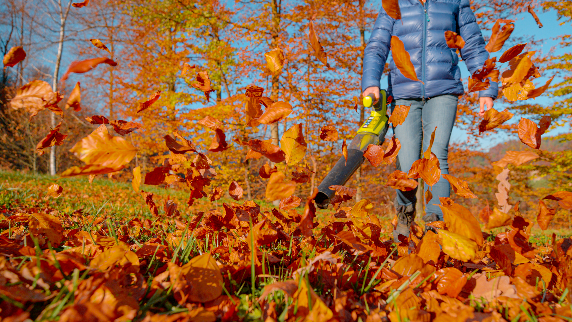 Woman blowing leaves