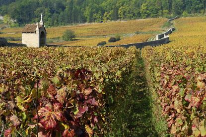 Gevrey-Chambertin 2022