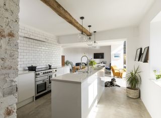 white handleless galley kitchen with dog sat at one end
