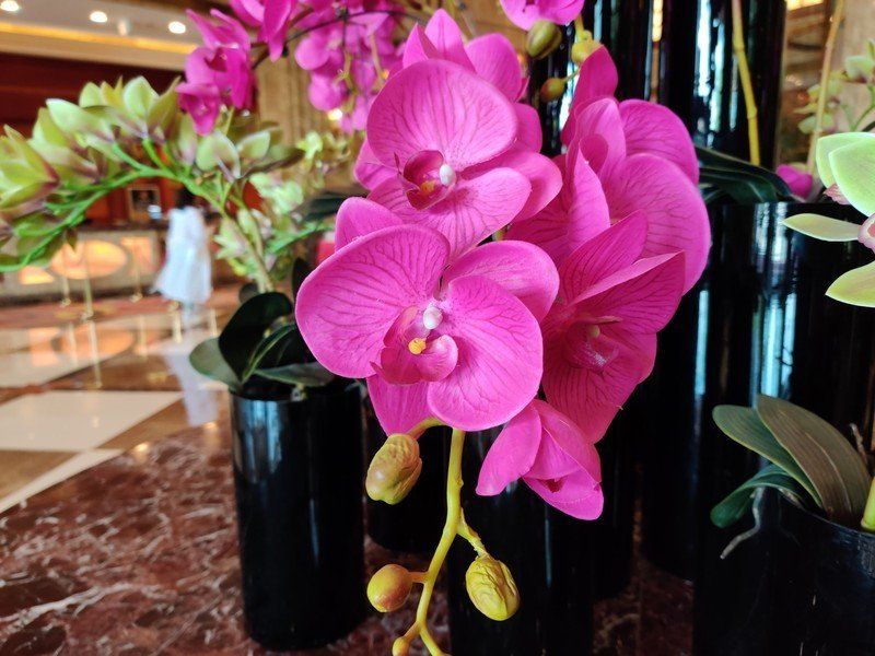 OnePlus 7 Pro camera sample