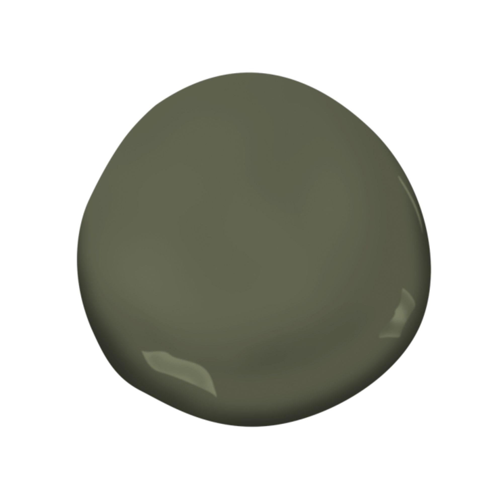 Earthy green paint sample
