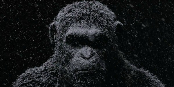 War For The Planet Of The Apes