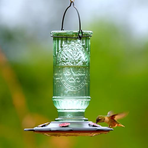 More Birds Vintage Glass Hummingbird Feeder, 20 Oz Nectar Capacity