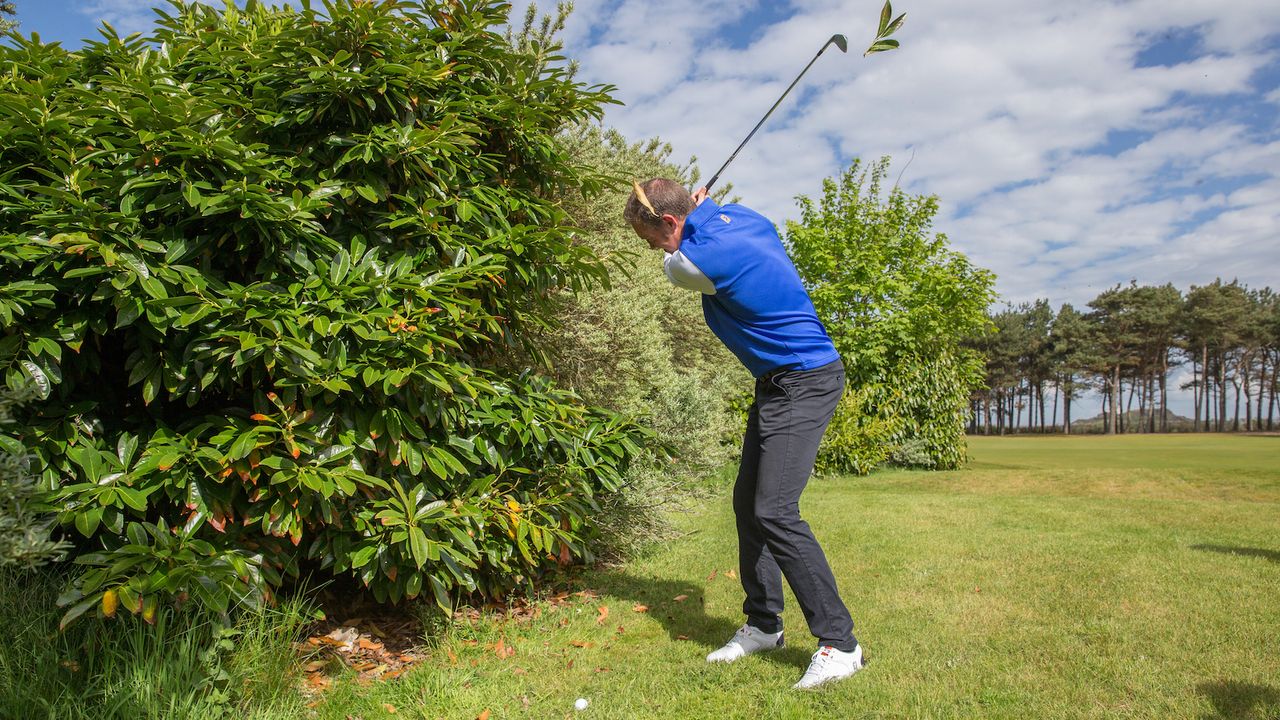 Knocking leaves of bush during swing