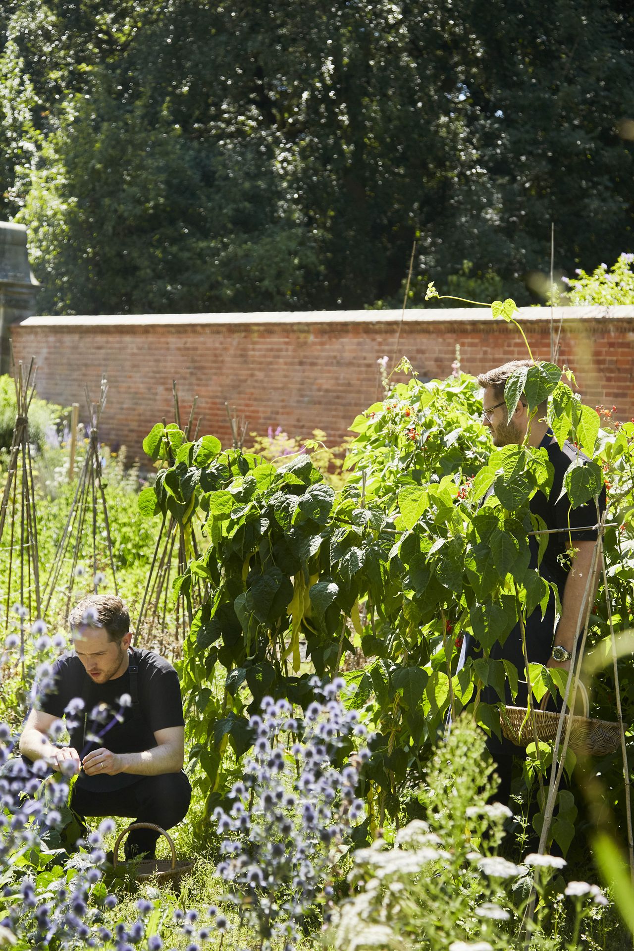 Two young men dressed in black workwear work in a walled garden filled with purple and pink flowers and surrounded by red brick in the sun.