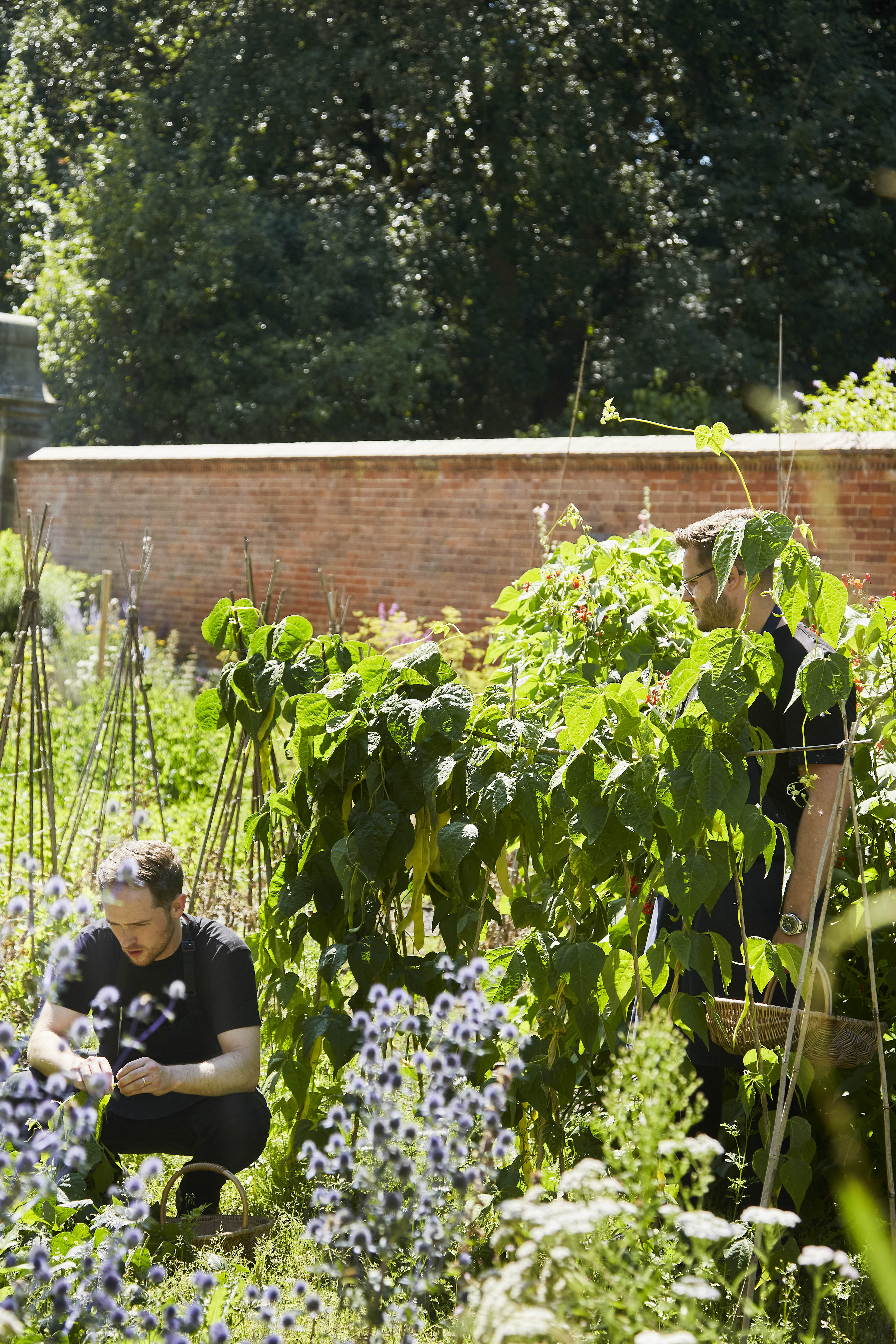 Two young men dressed in black workwear work in a walled garden filled with purple and pink flowers and surrounded by red brick in the sun.