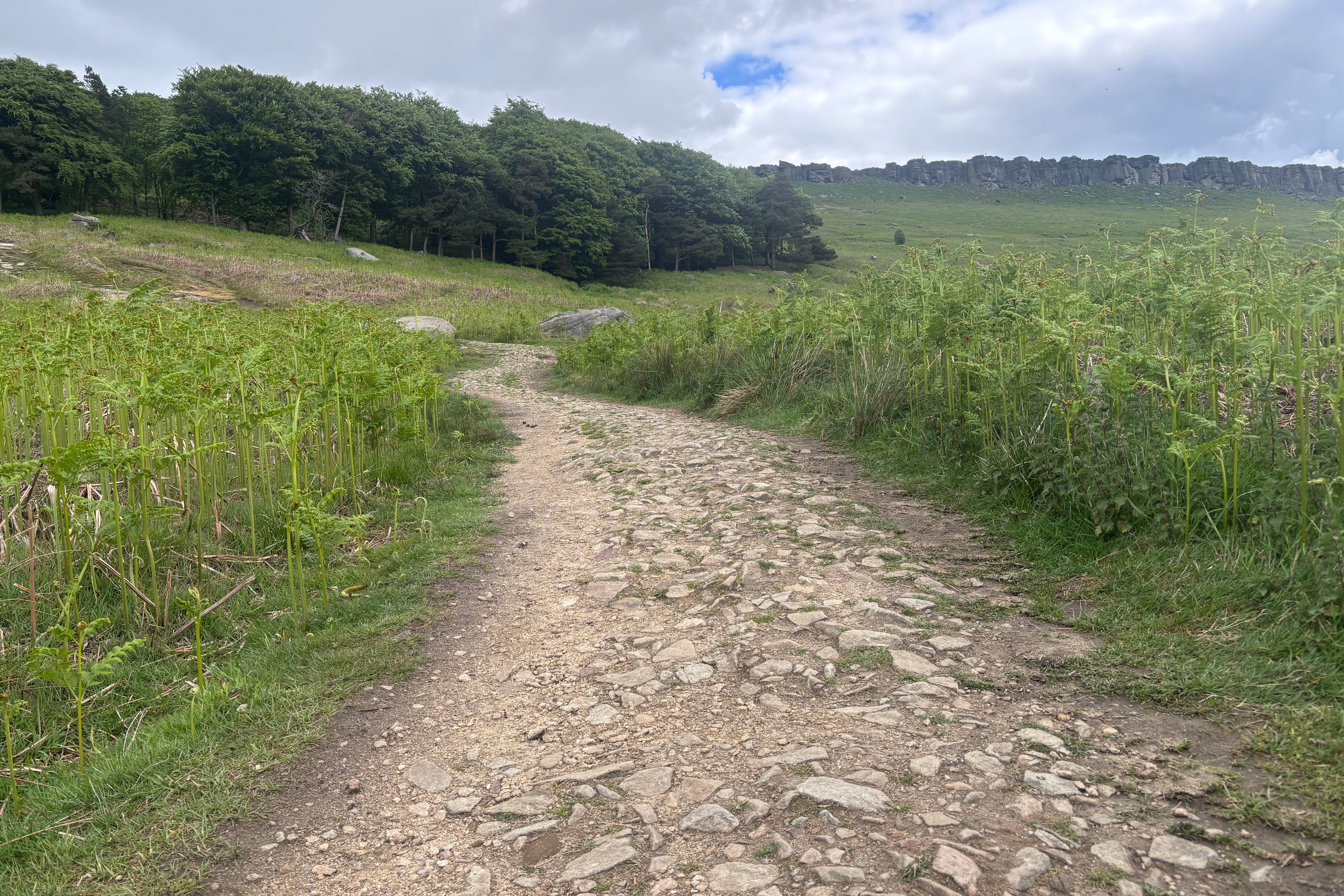 A rocky gravel trail