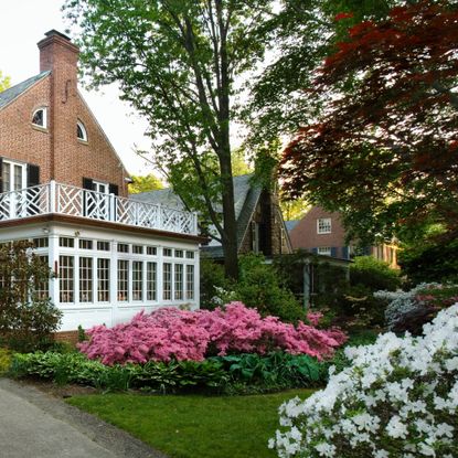 White azaleas and other pink flowering bushes in front of colonial style house