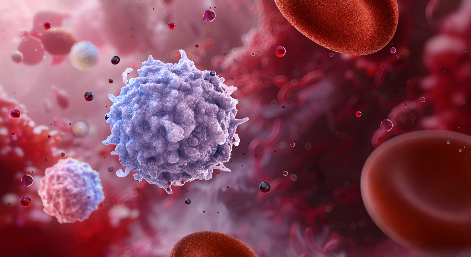 A purple sphere, covered in spikes, moves down a blood vessel, with donut shaped blood cells next to it.