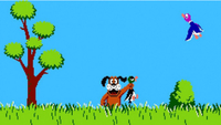   Duck Hunt