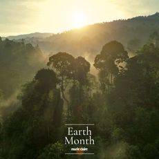 Greenwashing: The rainforest
