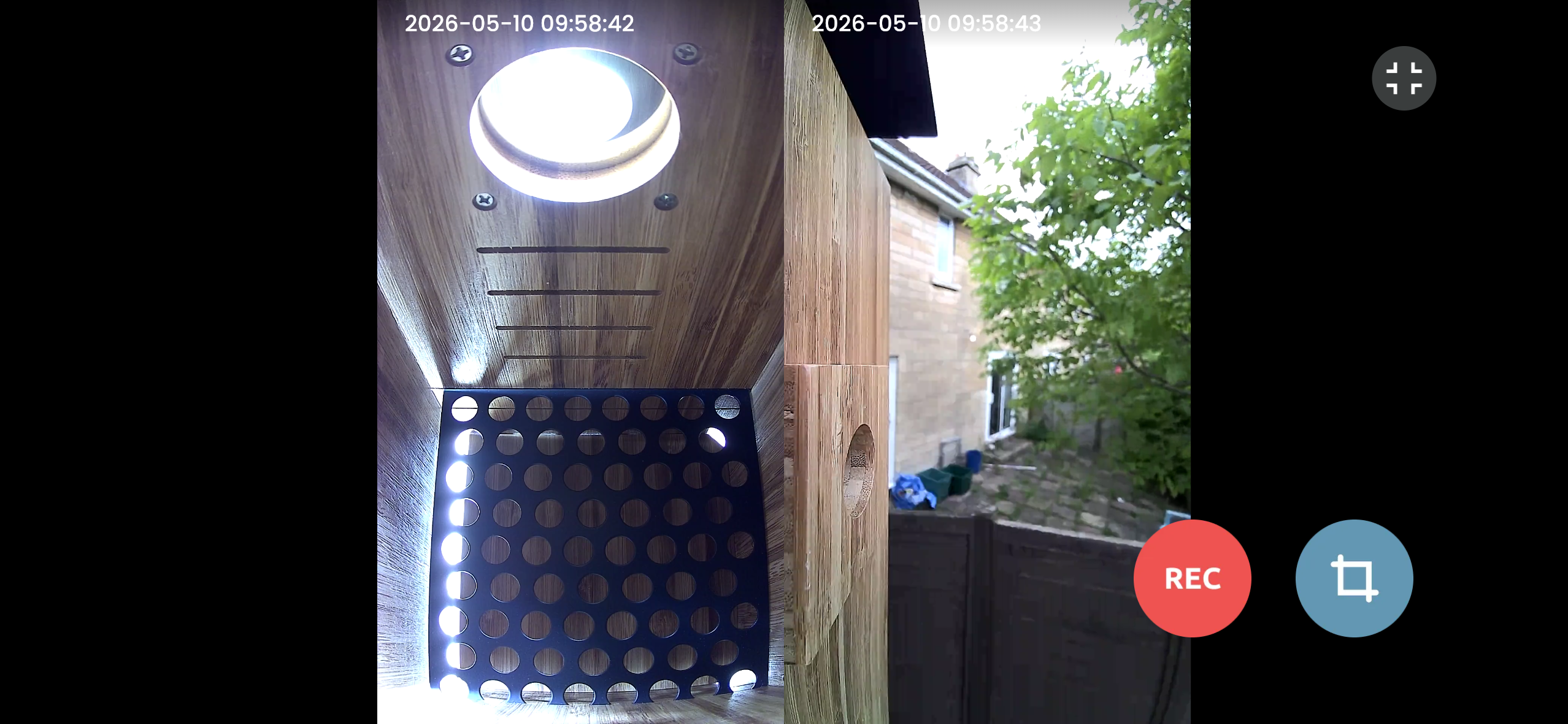 Sample screenshots from the Birdfy Nest Duo