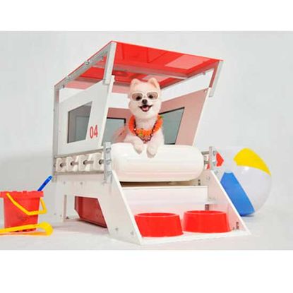 guard dog with white background