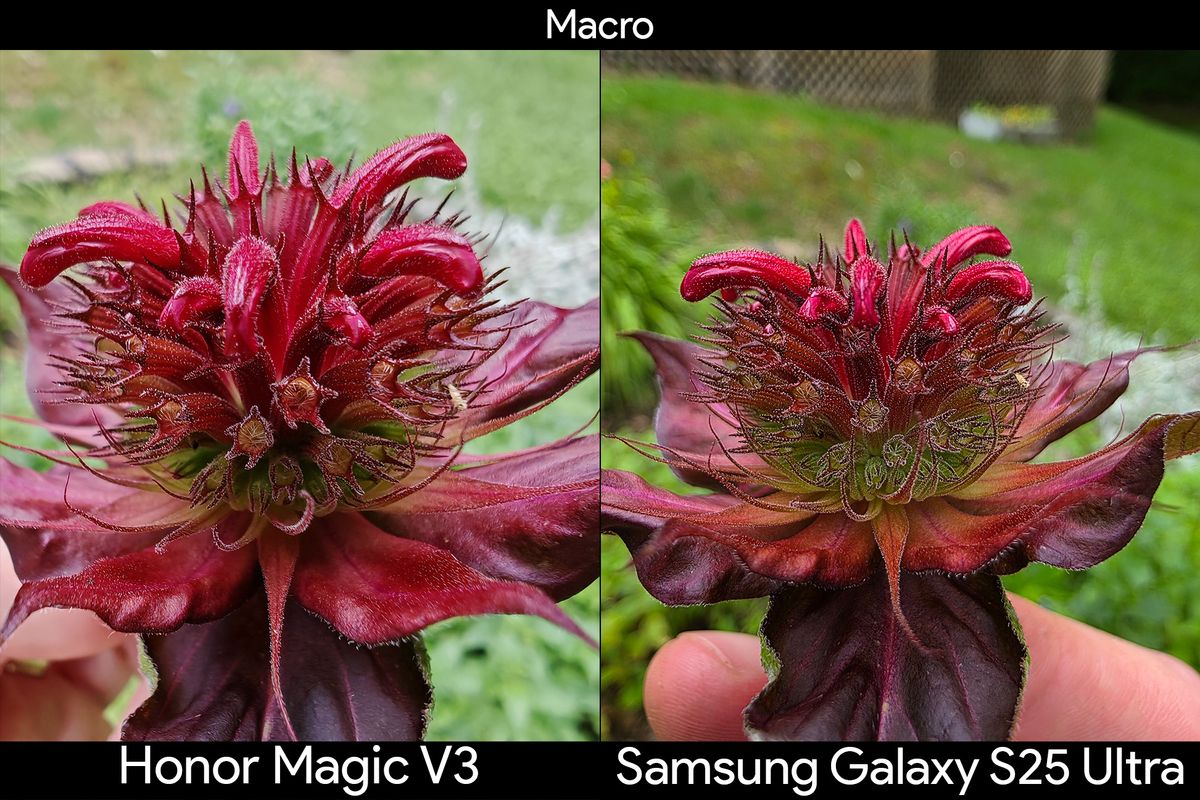 Comparing the ultrawide camera's macro mode between the Honor Magic V3 and Samsung Galaxy S25 Ultra looking at a flowerup close