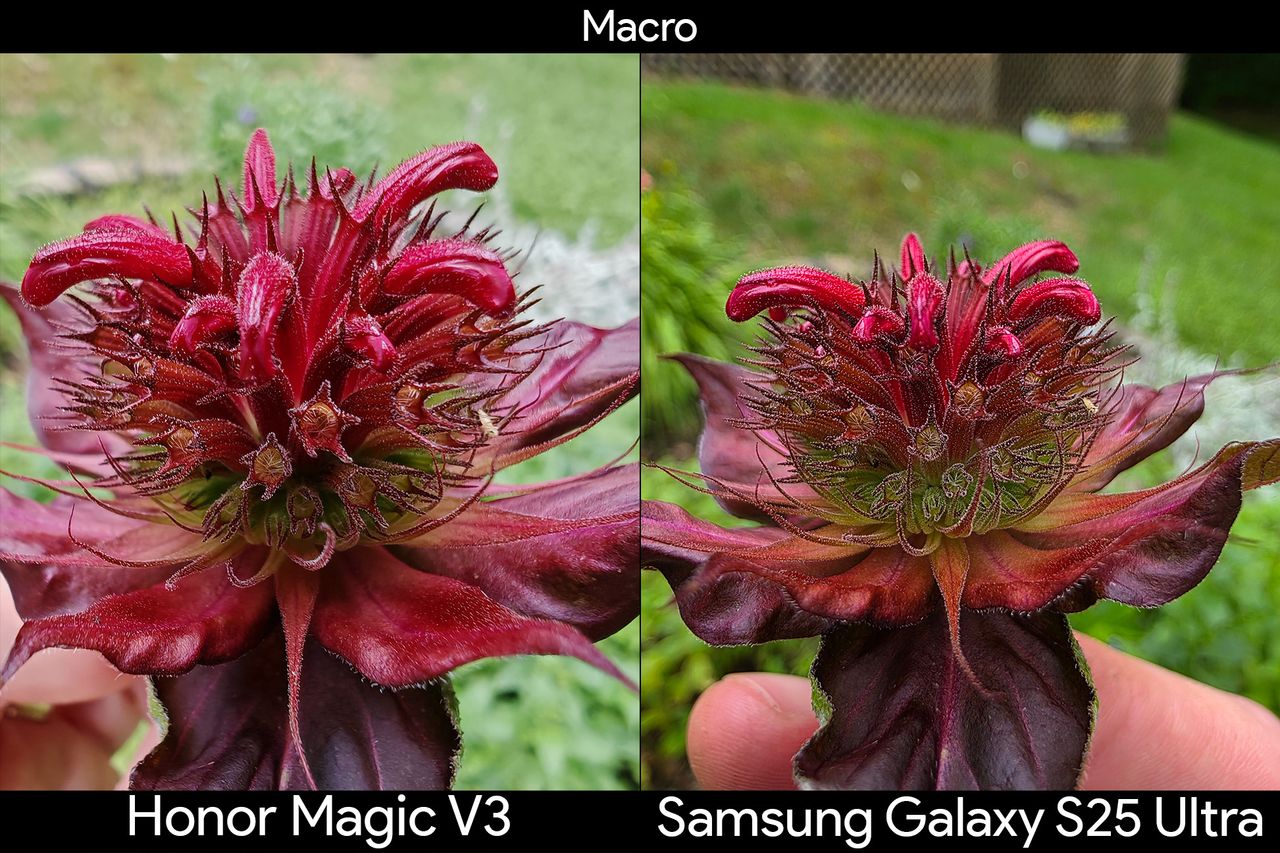 Comparing the ultrawide camera's macro mode between the Honor Magic V3 and Samsung Galaxy S25 Ultra looking at a flowerup close