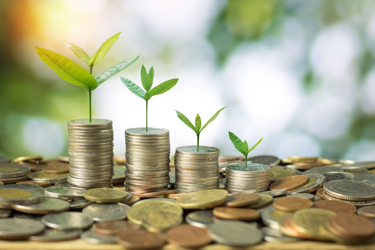 Sapling growing on stacks of money coins on green background