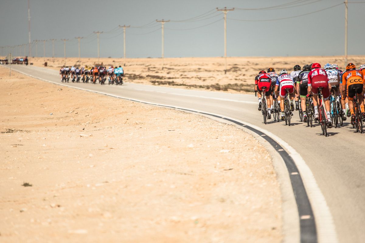 A common sight in Qatar are echelons across the road