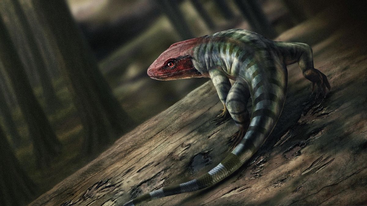 Newly discovered claw-mark fossils suggest reptiles evolved earlier than we thought