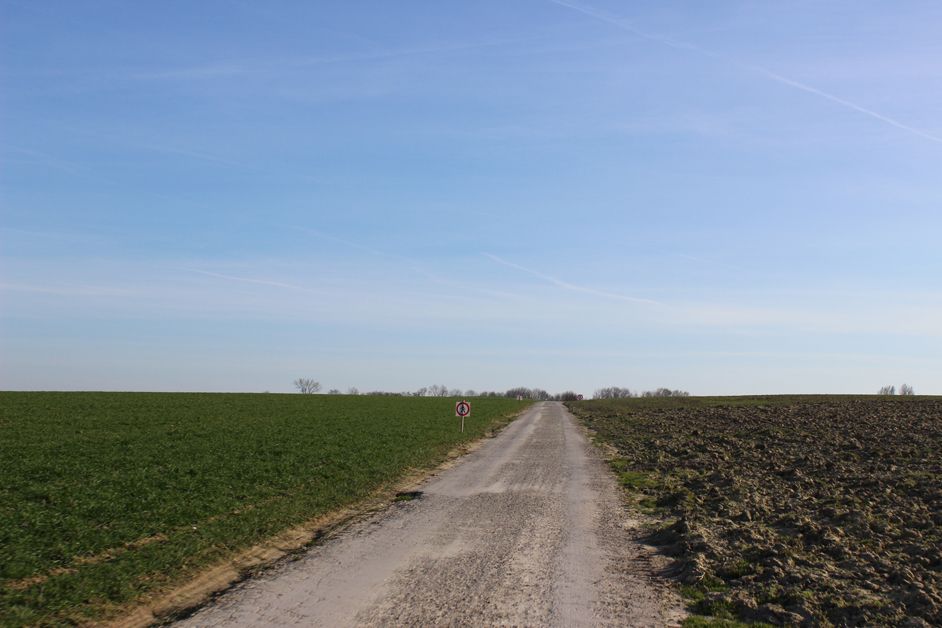 The road surface improves slightly on the first sector but it's still exposed