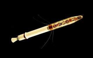 a satellite with a long body, an engine at one end and tapered nose at the other.