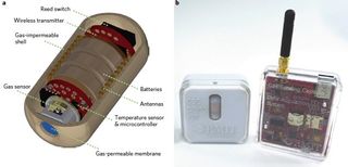 A 3D drawing (A) shows how the gas-sensing capsule is designed; a photo (B) of the packaged gas capsule and its receiver device.