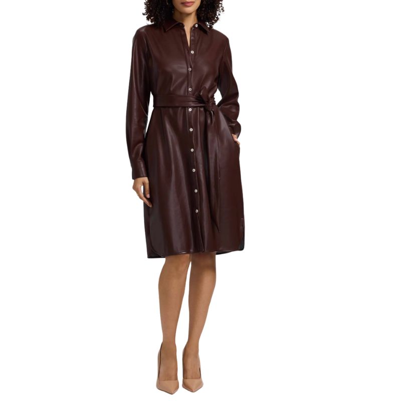 Image of brown leather dress