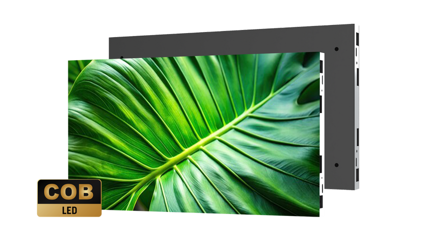 The Planar Komodo Series showing a detailed leaf on an LED screen. 