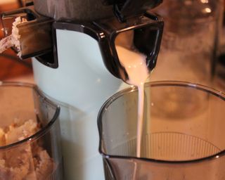 Camryn Rabideau making almond milk using the Dash juicer