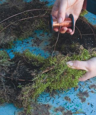 wiring moss onto a wreath base