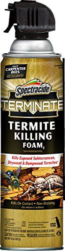 Spectracide Terminate Termite Killing Foam 16 Ounces, for Indoor and Outdoor Use