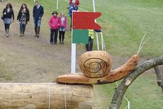 A cross-country flag