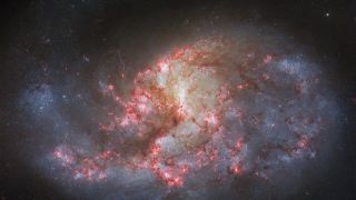 hubble space telescope view of a spiral galaxy in deep space, showing bright pink patches along its spiral arms