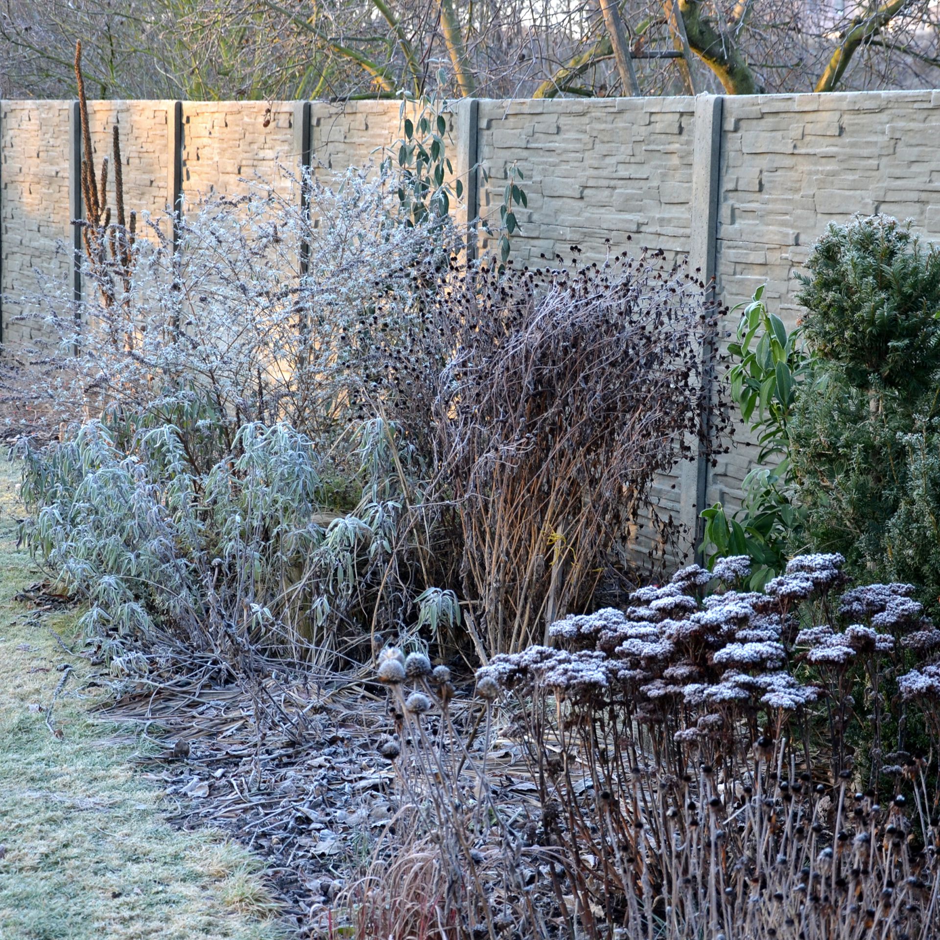 How to protect plants with mulch to keep frost off the roots Ideal Home
