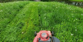 mower cutting long grass on a garden lawn