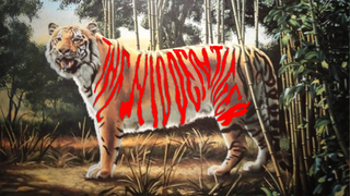 The answer to the hidden tiger optical illusion
