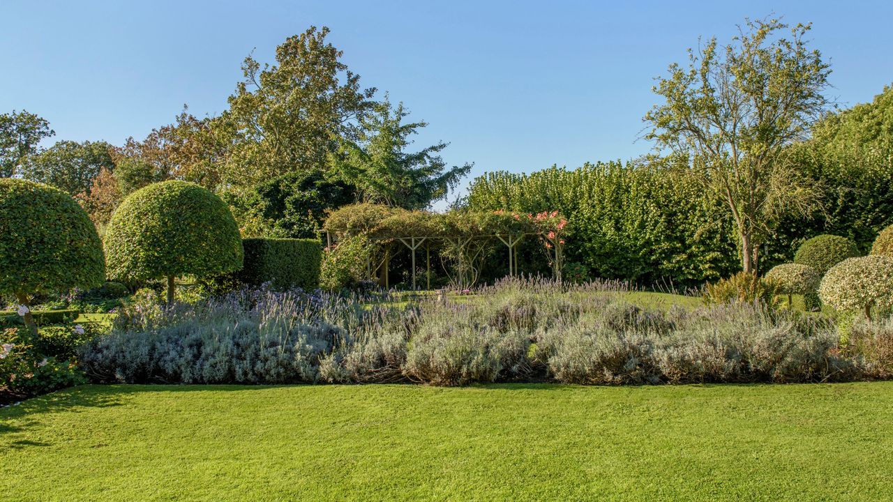 Green grass lawn surrounded by planted border and topiary trees, in front of pergola with climbing plants