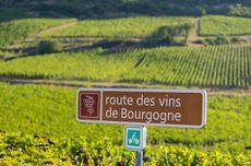 Burgundy Mâconnais vineyards near Solutré