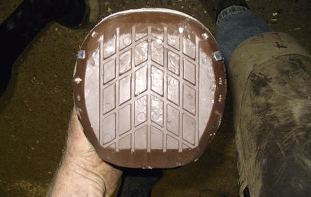 Steward clog