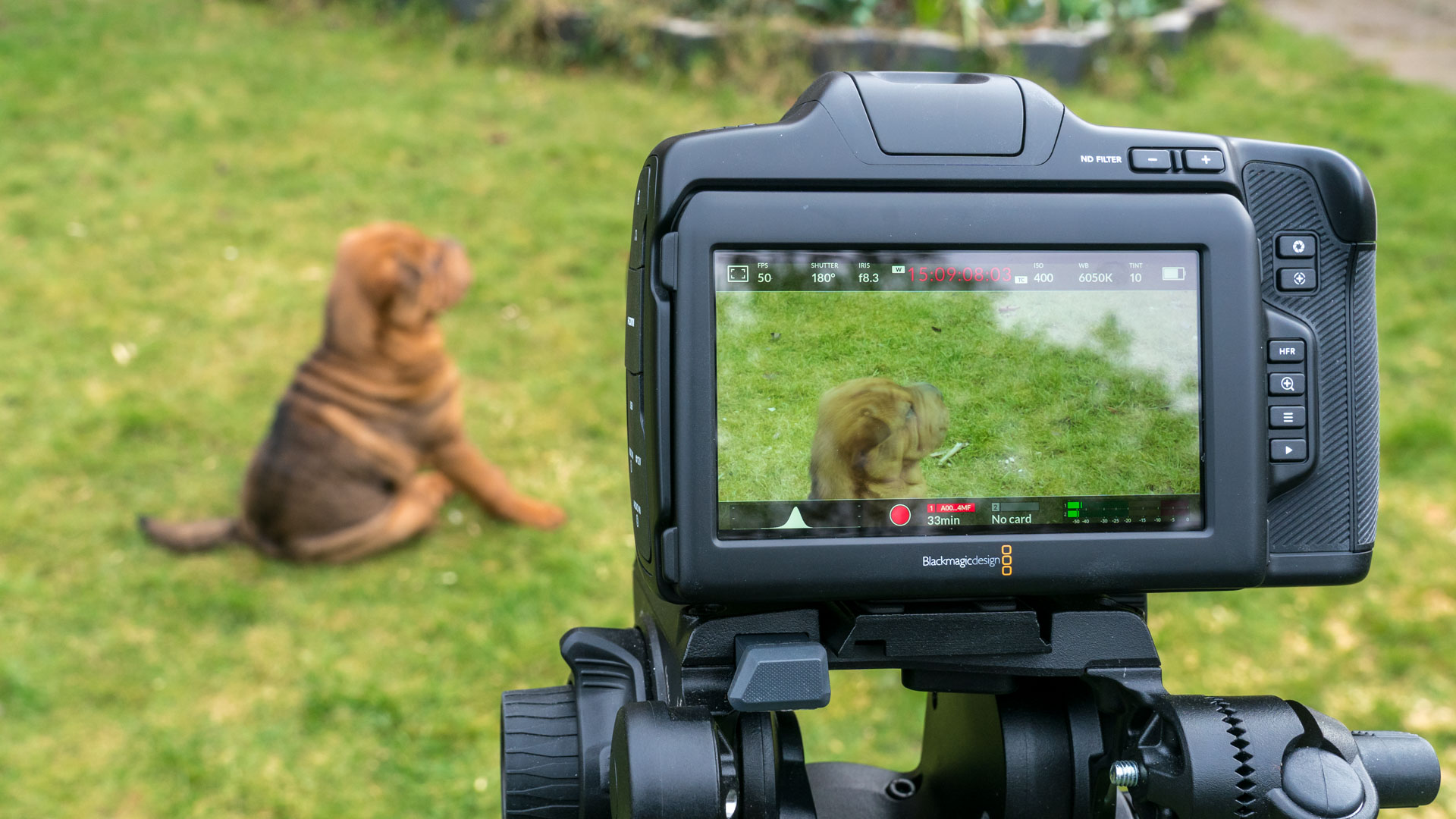 Blackmagic Pocket Cinema Camera 6K Pro