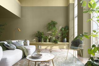 A yellow beige living room with white sofa, brass accents and house plants