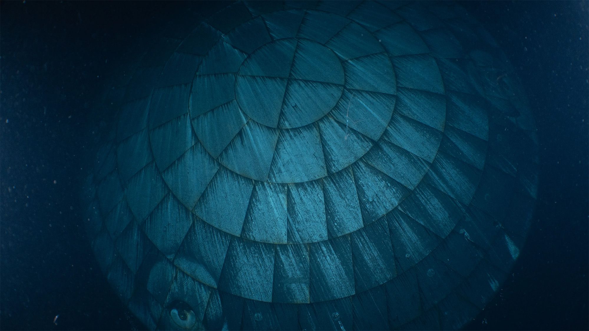 Artemis II Heat Shield Photo Shows Reduced Charring