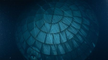 Underwater image of Artemis II heat shield 